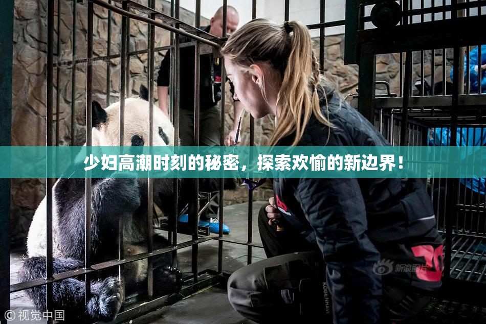 少妇高潮时刻的秘密，探索欢愉的新边界！