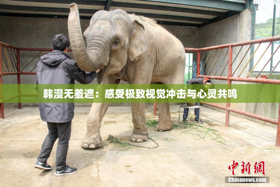 韩漫无羞遮：感受极致视觉冲击与心灵共鸣