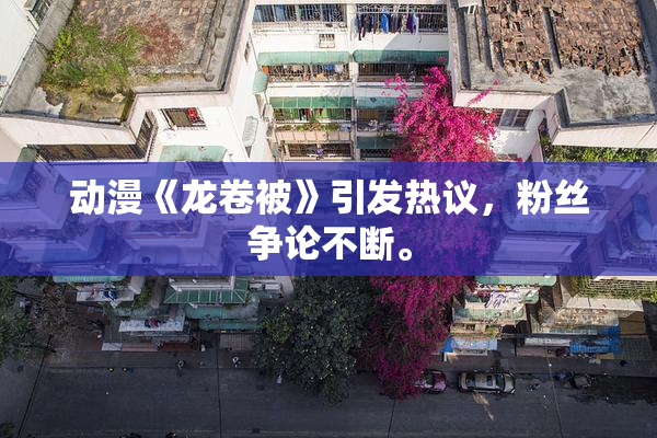 动漫《龙卷被》引发热议，粉丝争论不断。