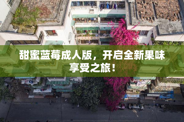 甜蜜蓝莓成人版，开启全新果味享受之旅！
