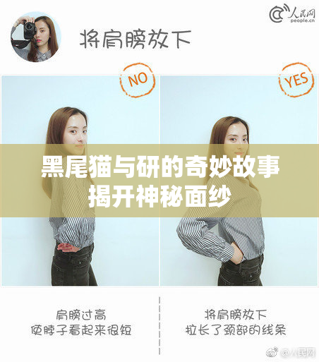 黑尾猫与研的奇妙故事揭开神秘面纱