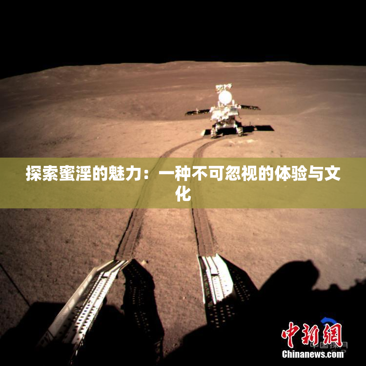 探索蜜淫的魅力：一种不可忽视的体验与文化