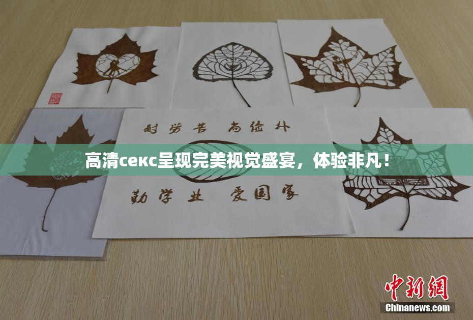 高清ceкс呈现完美视觉盛宴，体验非凡！