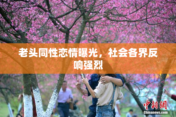 老头同性恋情曝光，社会各界反响强烈