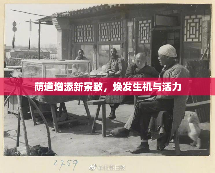 荫道增添新景致，焕发生机与活力