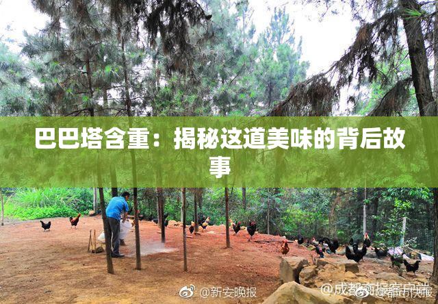 巴巴塔含重：揭秘这道美味的背后故事