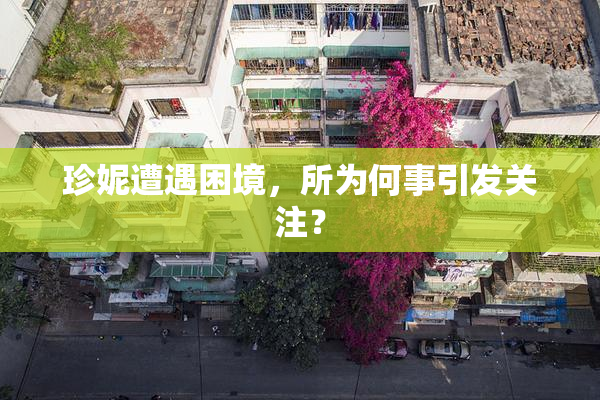 珍妮遭遇困境，所为何事引发关注？