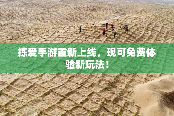 拣爱手游重新上线，现可免费体验新玩法！