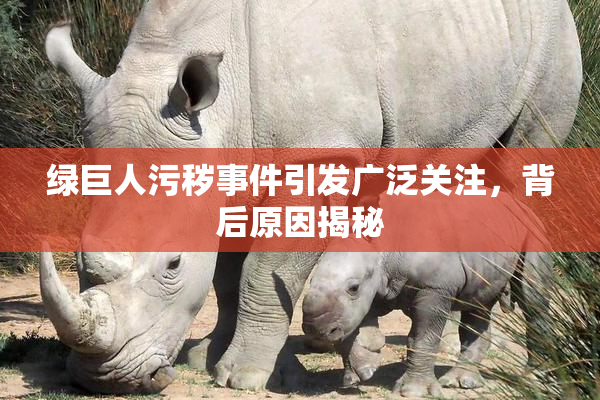 绿巨人污秽事件引发广泛关注，背后原因揭秘