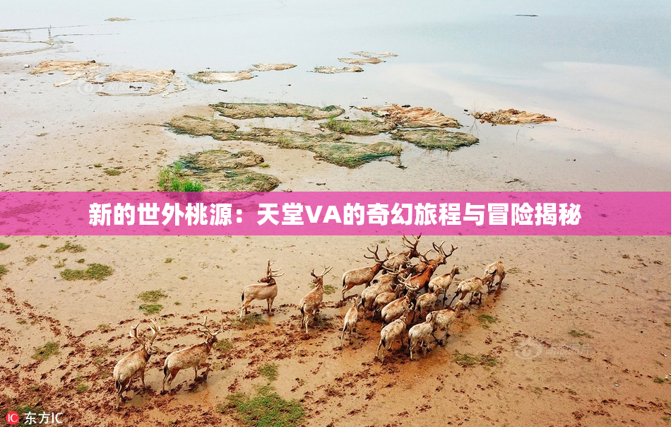 新的世外桃源：天堂VA的奇幻旅程与冒险揭秘