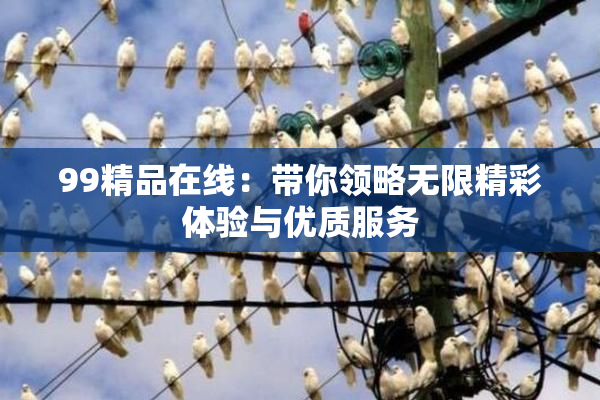 99精品在线：带你领略无限精彩体验与优质服务