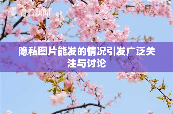 隐私图片能发的情况引发广泛关注与讨论