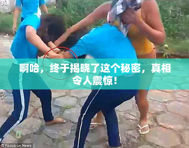啊哈，终于揭晓了这个秘密，真相令人震惊！