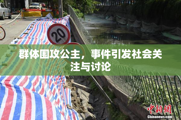群体围攻公主，事件引发社会关注与讨论