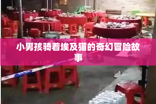 小男孩骑着埃及猫的奇幻冒险故事