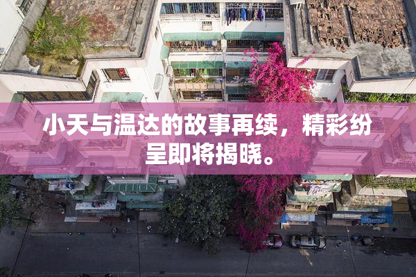 小天与温达的故事再续，精彩纷呈即将揭晓。