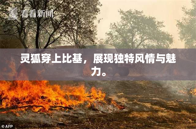 灵狐穿上比基，展现独特风情与魅力。