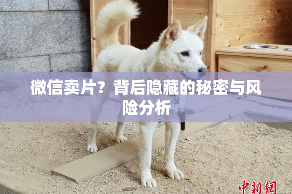 微信卖片？背后隐藏的秘密与风险分析