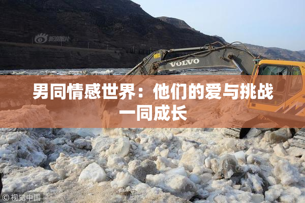 男同情感世界：他们的爱与挑战一同成长