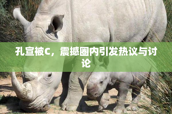 孔宣被C，震撼圈内引发热议与讨论
