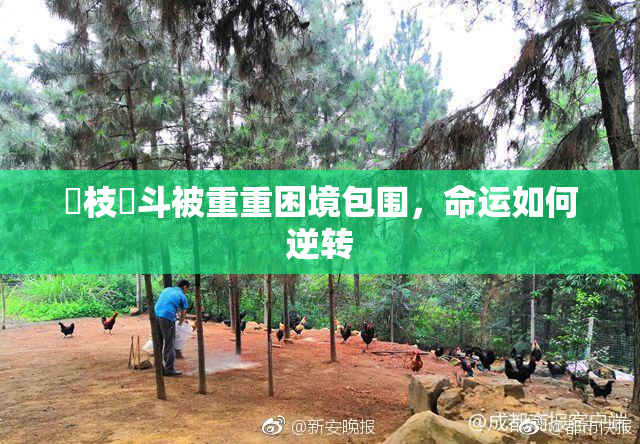 狛枝凪斗被重重困境包围，命运如何逆转