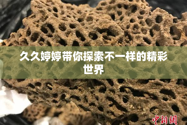 久久婷婷带你探索不一样的精彩世界