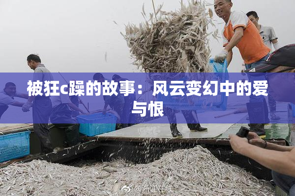 被狂c躁的故事：风云变幻中的爱与恨
