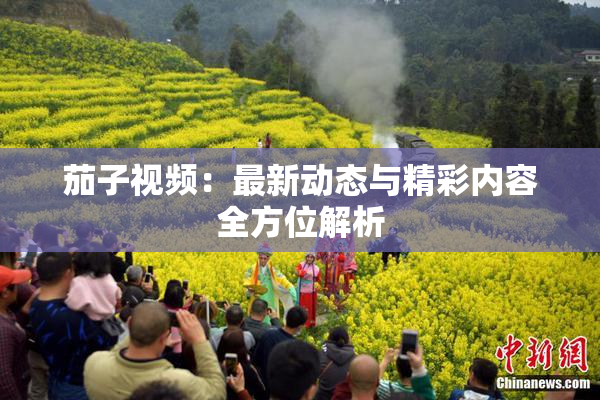 茄子视频：最新动态与精彩内容全方位解析