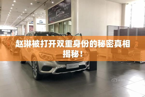 赵琳被打开双重身份的秘密真相揭秘！