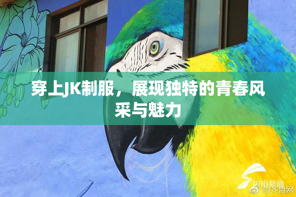 穿上JK制服，展现独特的青春风采与魅力