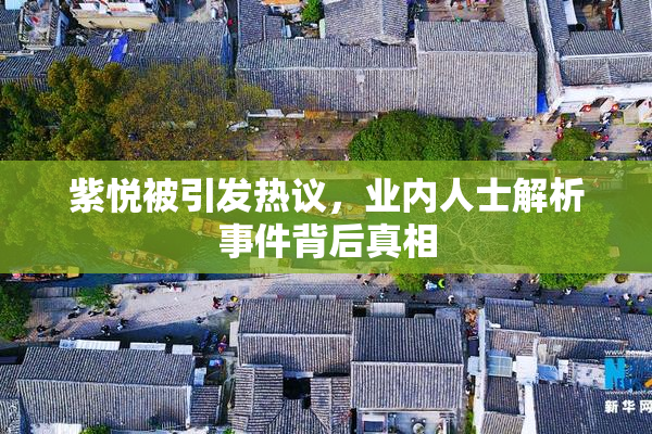 紫悦被引发热议，业内人士解析事件背后真相