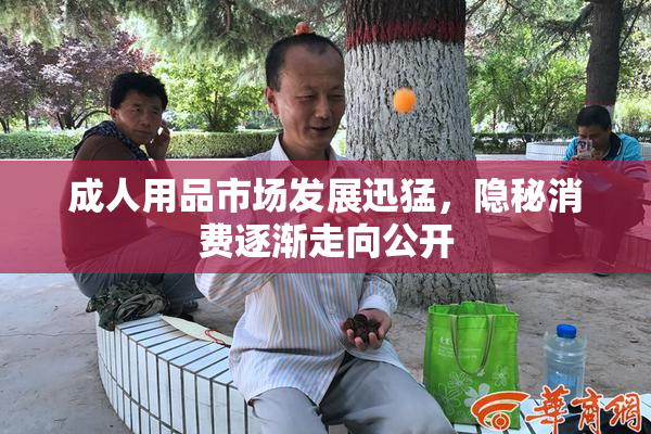 成人用品市场发展迅猛，隐秘消费逐渐走向公开