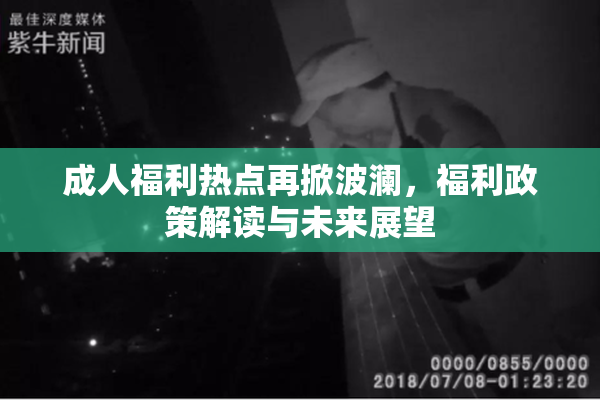 成人福利热点再掀波澜，福利政策解读与未来展望