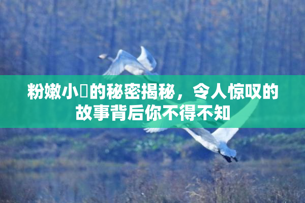 粉嫩小泬的秘密揭秘，令人惊叹的故事背后你不得不知