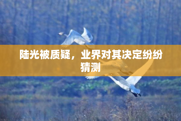 陆光被质疑，业界对其决定纷纷猜测