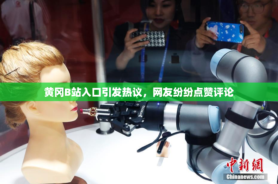 黄冈B站入口引发热议，网友纷纷点赞评论