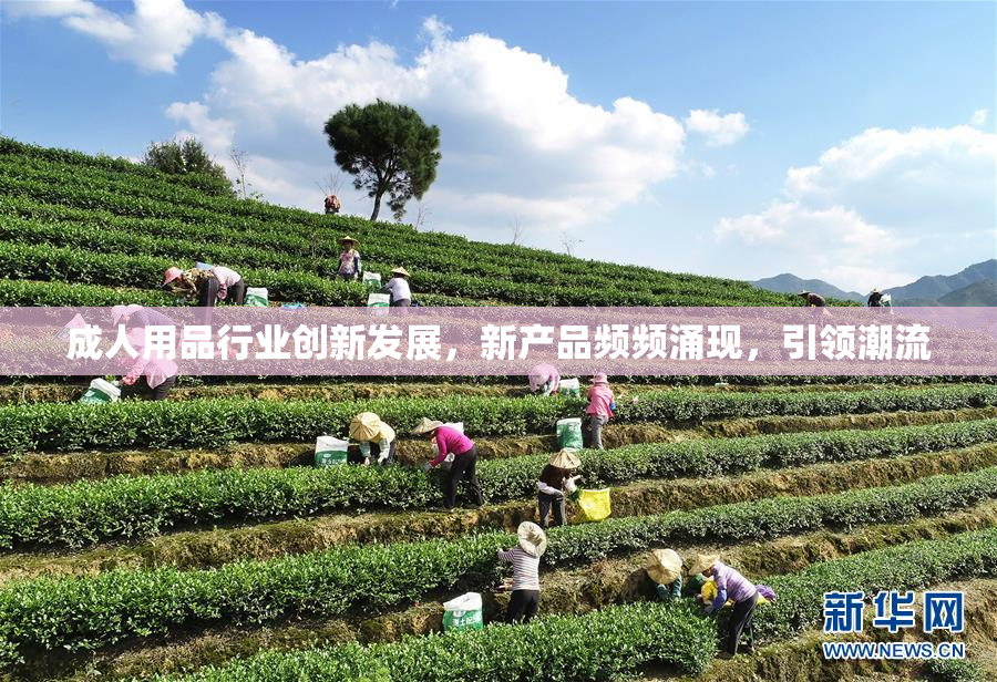 成人用品行业创新发展，新产品频频涌现，引领潮流