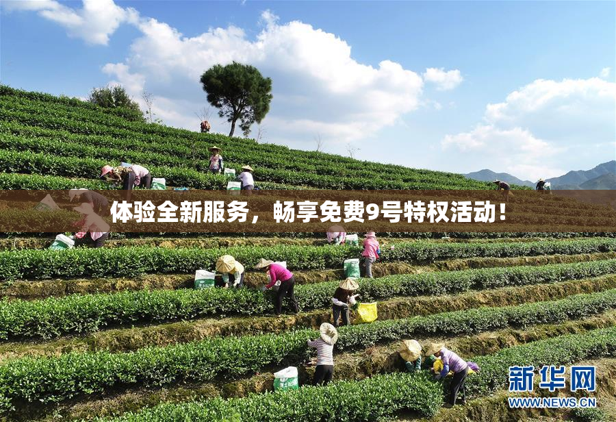 体验全新服务，畅享免费9号特权活动！