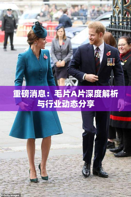 重磅消息：毛片A片深度解析与行业动态分享