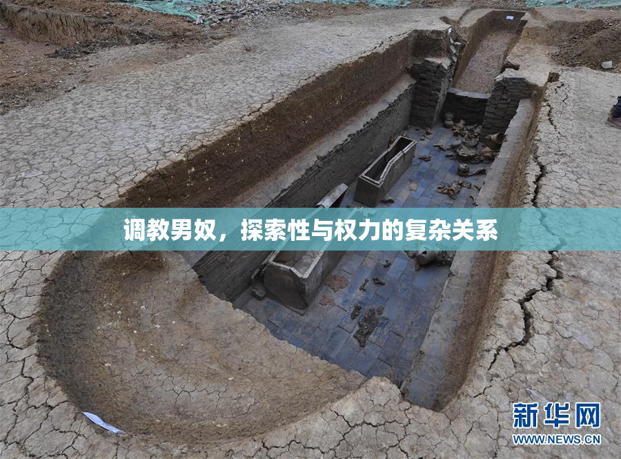 调教男奴，探索性与权力的复杂关系