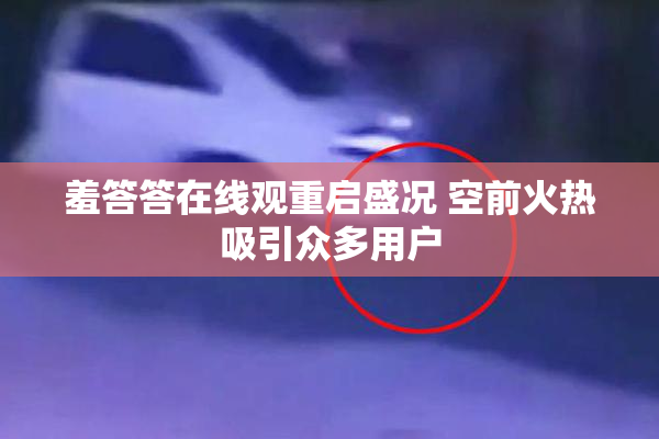 羞答答在线观重启盛况 空前火热吸引众多用户