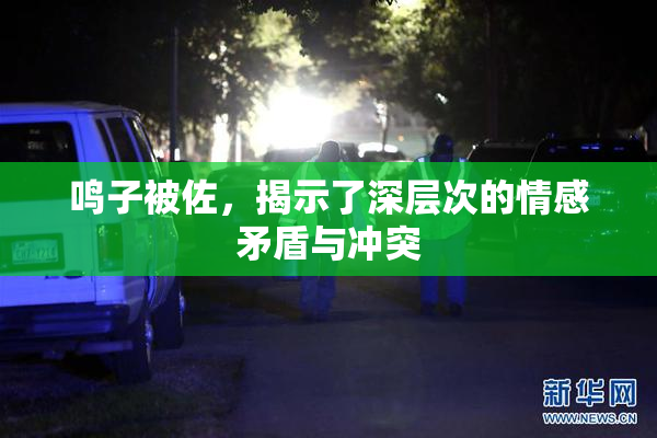 鸣子被佐，揭示了深层次的情感矛盾与冲突
