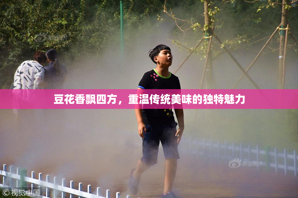 豆花香飘四方，重温传统美味的独特魅力