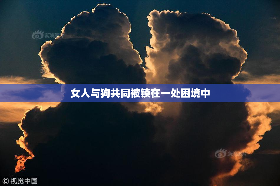 女人与狗共同被锁在一处困境中