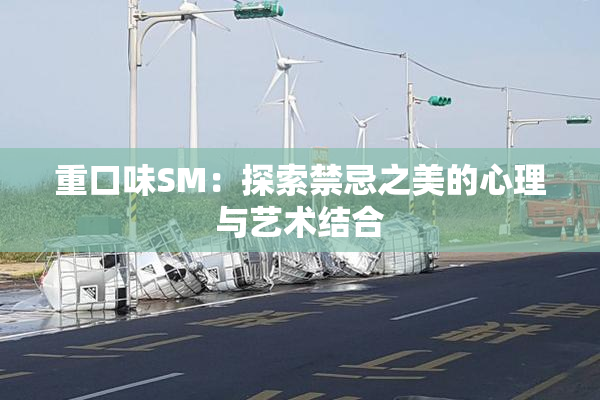 重口味SM：探索禁忌之美的心理与艺术结合