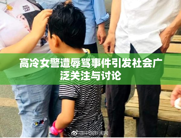 高冷女警遭辱骂事件引发社会广泛关注与讨论