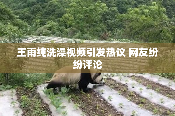 王雨纯洗澡视频引发热议 网友纷纷评论