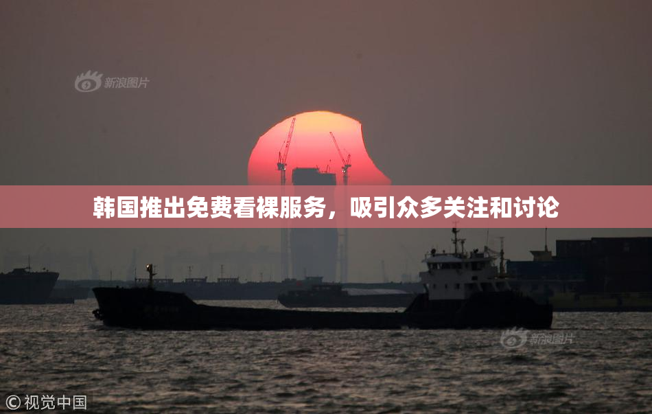 韩国推出免费看裸服务，吸引众多关注和讨论