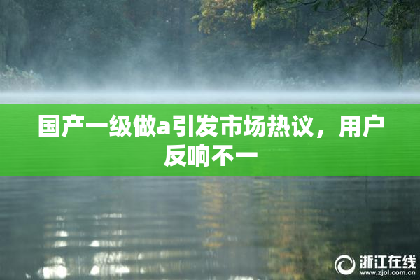 国产一级做a引发市场热议，用户反响不一