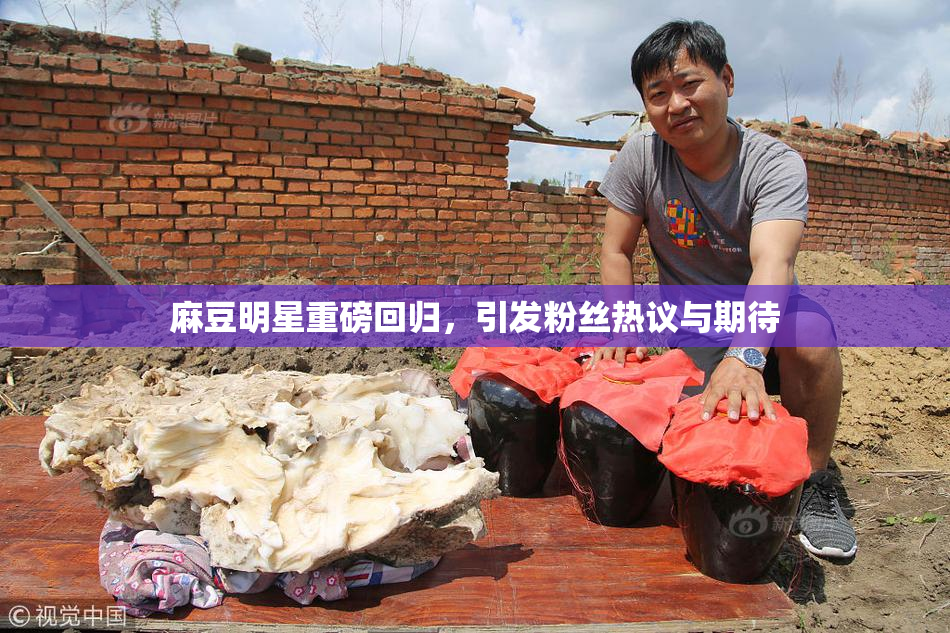 麻豆明星重磅回归，引发粉丝热议与期待